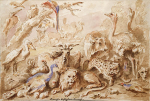 Giovanni Francesco Castiglione, A Congress of Animals, 1641-1710. The Metropolitan Museum of Art. Image © The Metropolitan Museum of Art