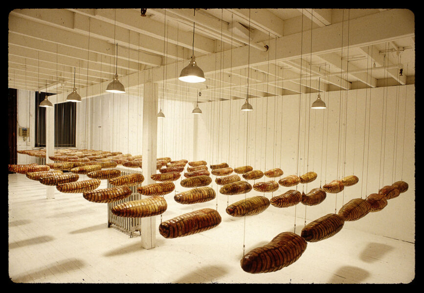 Dolores Zorreguieta "Wounds" (1994)