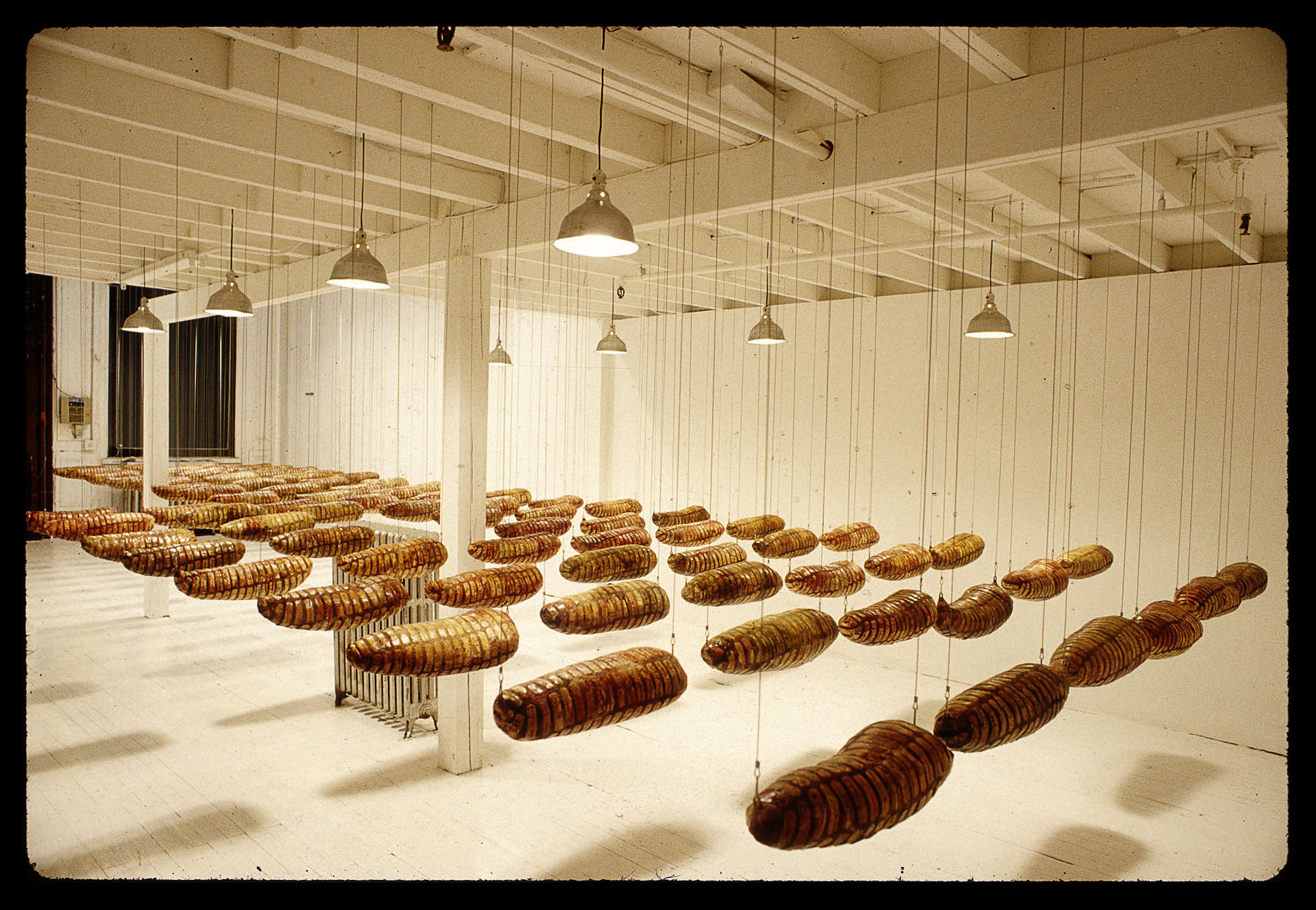 Dolores Zorreguieta "Wounds" (1994)