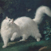 Jean Jacques Bachelier | White angora cat chasing a butterfly, 2nd half 18th Century | Musée Lambinet | Réunion des Musées Nationaux