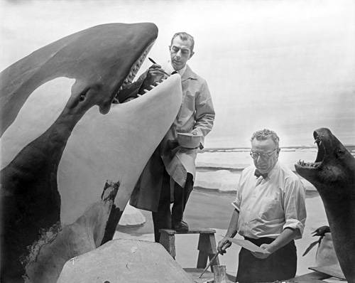 The Museum of Natural History in The Catcher in the Rye