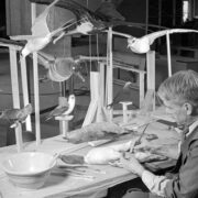 Raymond B. Potter prepares birds for mounting, 1939, American Museum of Natural History, Photographer: Charles H. Coles. Image and original data provided by Library, American Museum of Natural History