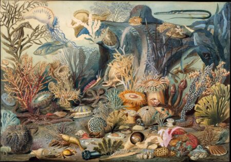 Pioneers of the deep: early Americans fathom the ocean