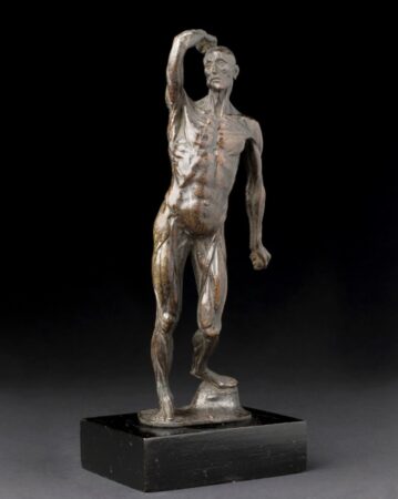 Bronze anatomical figure, Europe, 1701-1800