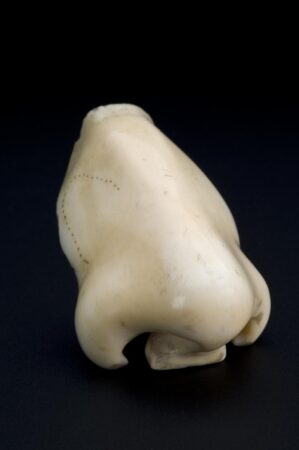 Ivory artificial nose, 1701-1800