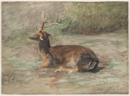 Rosa Bonheur. Recumbent Stag. Second half 19th century.