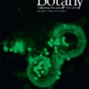 American Journal of Botany