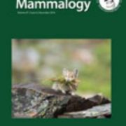 Journal of Mammalogy