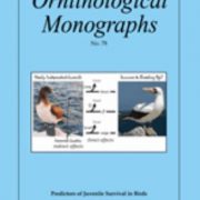 Ornithological Monographs