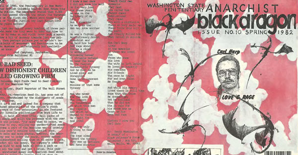 module image: American Prison Newspapers