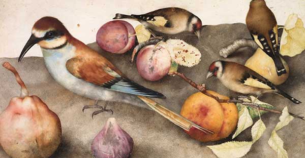 module image: Artstor on JSTOR