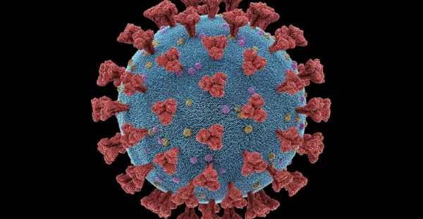 module image: A science reader for COVID-19