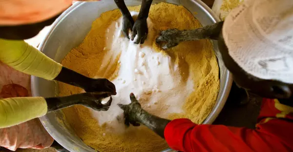 module image: Global food security: A primer