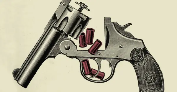 module image: Guns in America: Foundations and key concepts