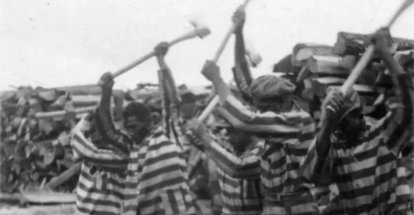 module image: Mass incarceration: A syllabus