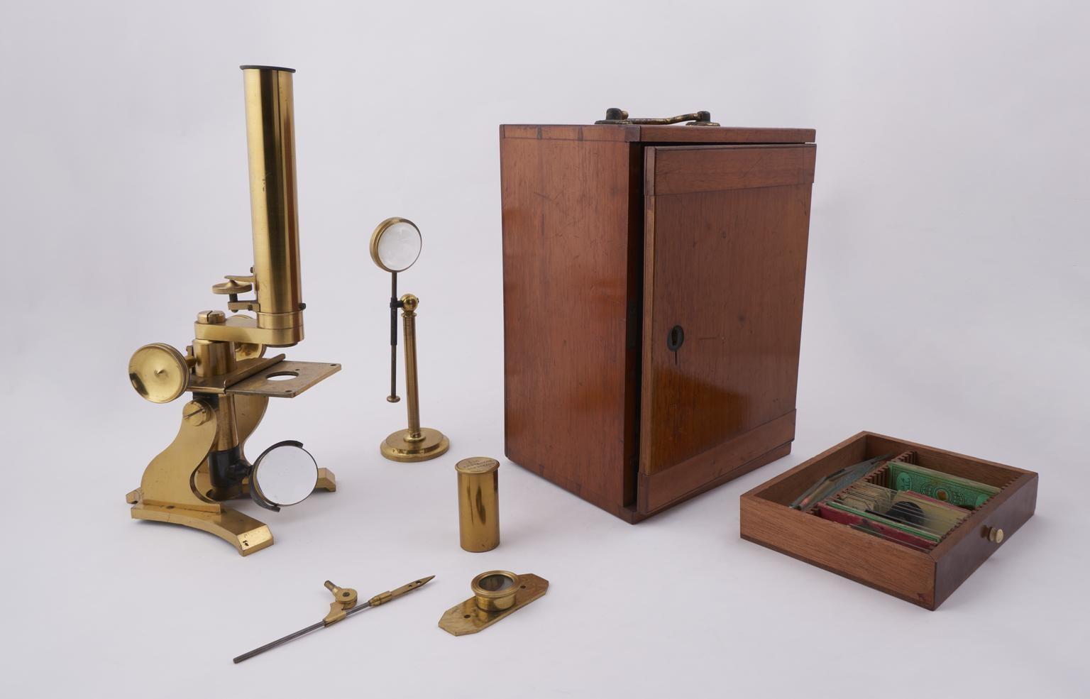 From Berkeley to beta: How students helped bring AI and advanced technologies to JSTOR