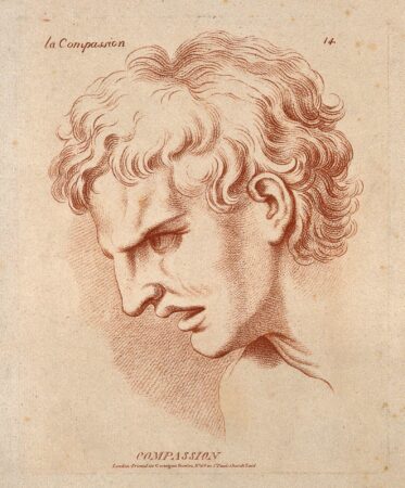 In defense of the humanities: Upholding the pillars of human understanding