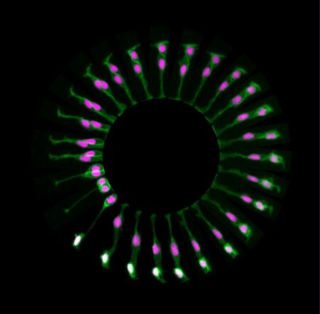 Sentenced to life in a black hole
